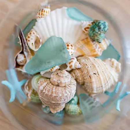 Varkes 2 * نيا موذانيا