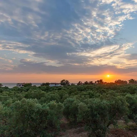 Apartment Varkes 2 *