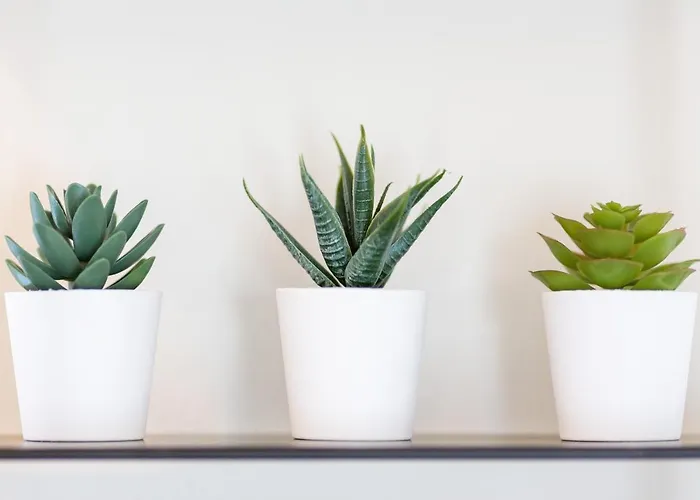 Varkes 2 Διαμέρισμα Νέα Μουδανιά