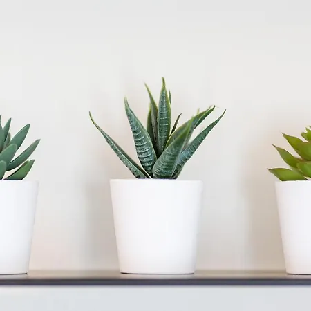 Varkes 2 Lägenhet Nea Moudhania